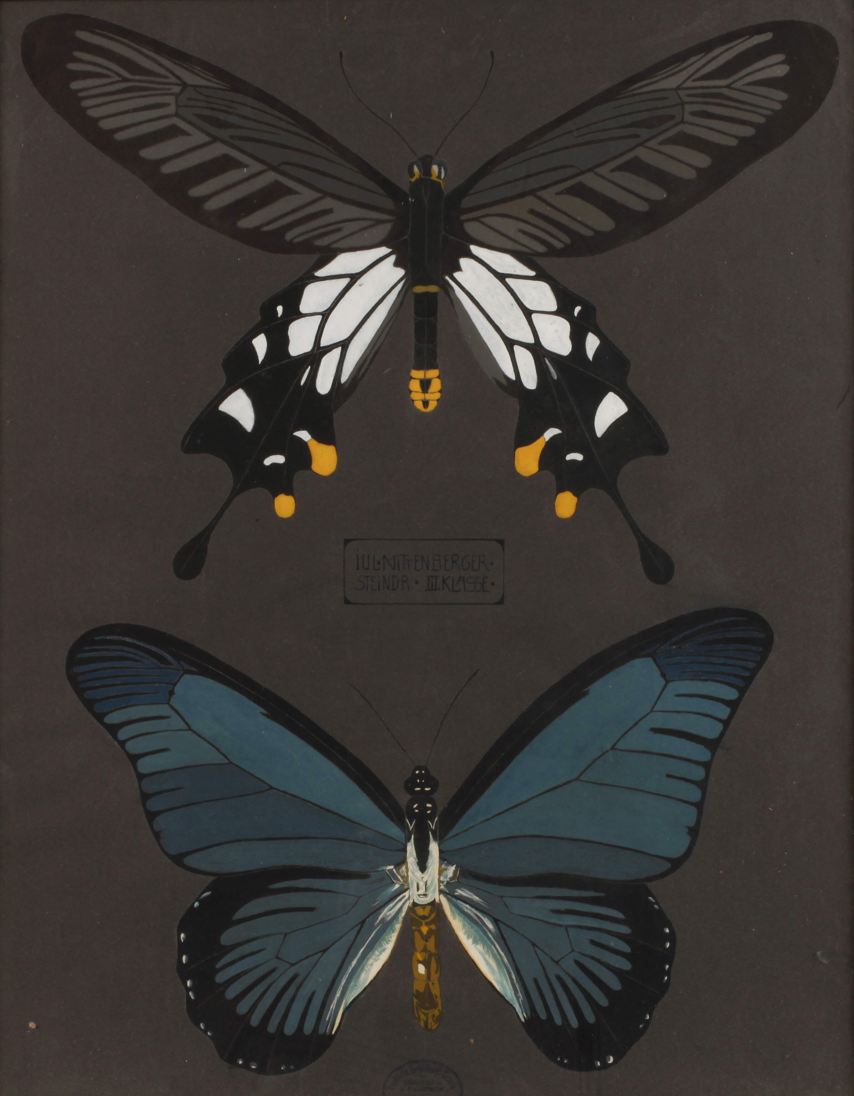 Julius Mittenberger, Studienblatt