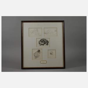 P. Seward, Hundestudien