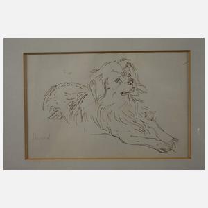 P. Seward, Hundestudien