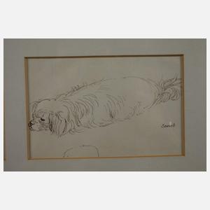 P. Seward, Hundestudien