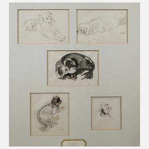 P. Seward, Hundestudien