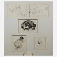 P. Seward, Hundestudien111