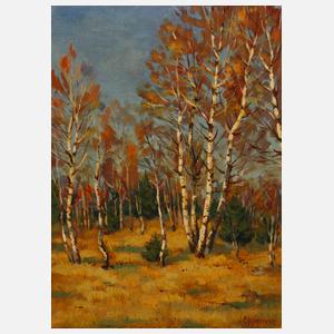 Epperlein, Sonniger Birkenwald