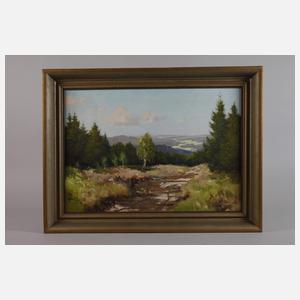 Manfred Feiler, Vogtländische Sommerlandschaft