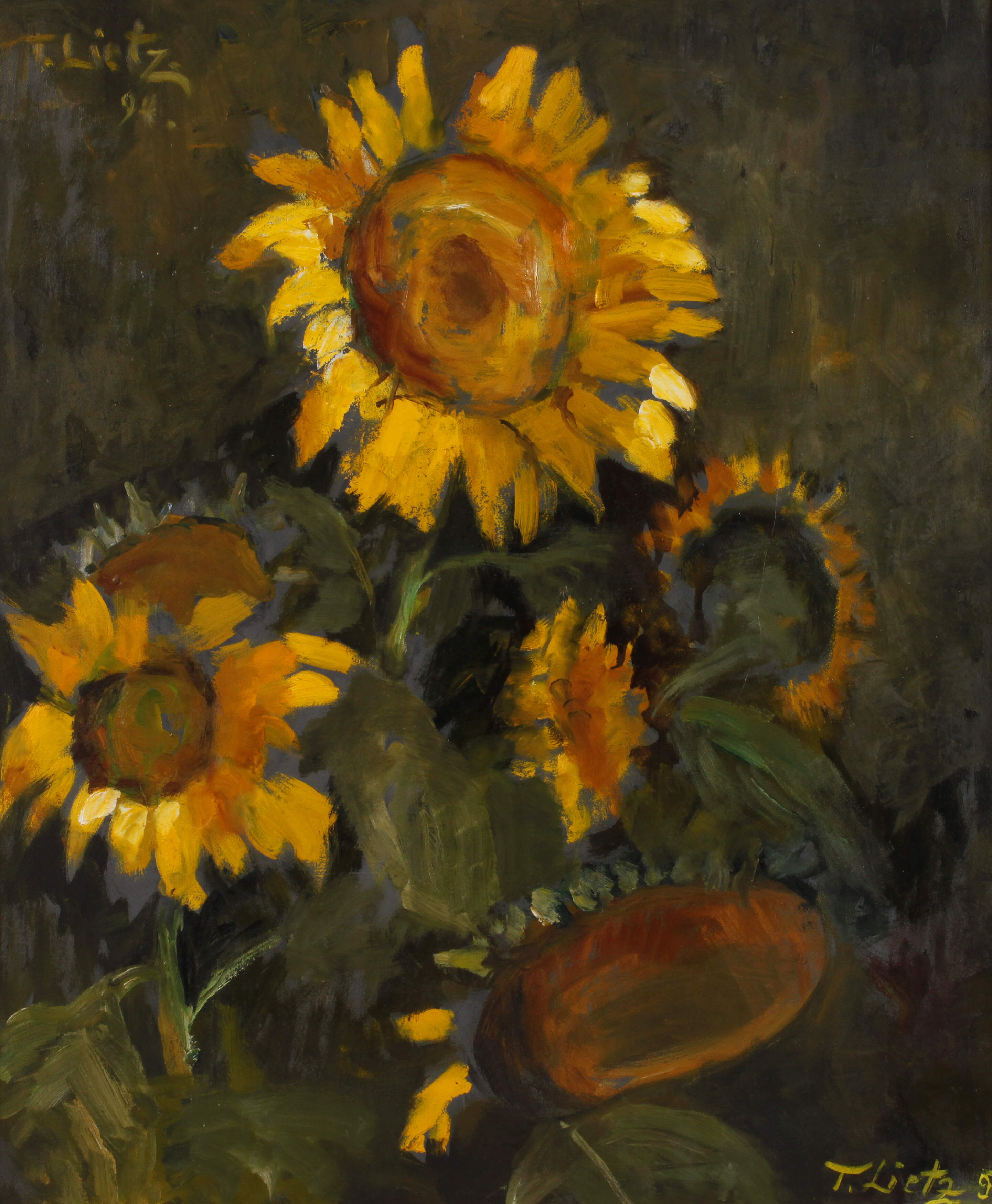 Tatjana Lietz, Sonnenblumen