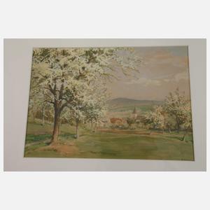 Rudolf Lipus, Konvolut Aquarelle