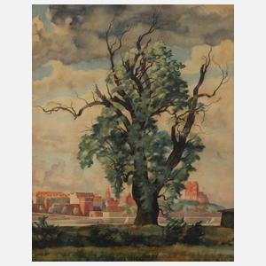 Konrad Meister, Stadtansicht