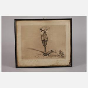 Prof. Richard Müller, Marabu und Affe