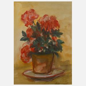 Will Schestak, attr., Azaleen