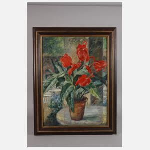 Else von Schmiedeberg-Blume, Anthurienstillleben