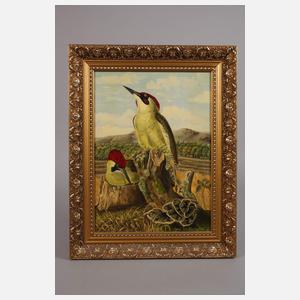 Jens Tautenhahn, Grünspechte