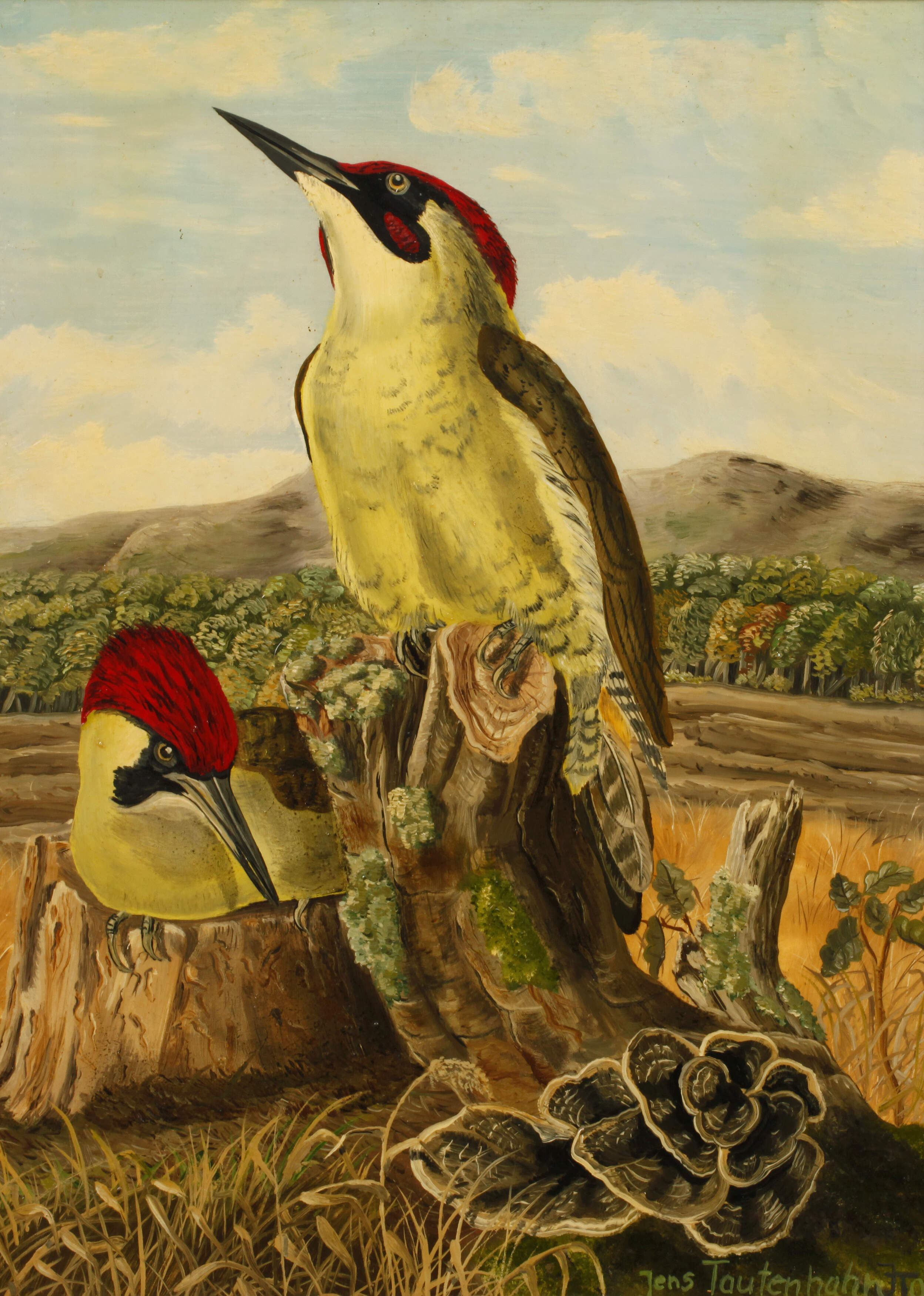 Jens Tautenhahn, Grünspechte