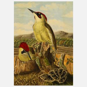 Jens Tautenhahn, Grünspechte