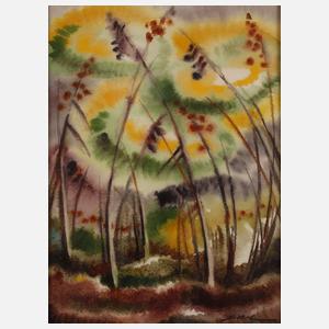 Hans Weiß, "Gräßer"