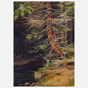 Hans Weiß-Aue, Fichten am Bach