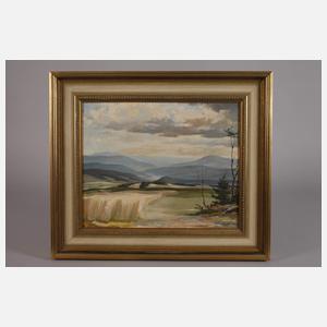 Hans Weiß-Aue, "Blick ins Erzgebirge"