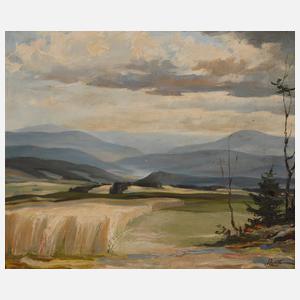 Hans Weiß-Aue, "Blick ins Erzgebirge"
