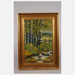 Hans Weiß-Aue, "Blick vom Fichtelberg"