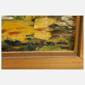 Hans Weiß-Aue, "Blick vom Fichtelberg"