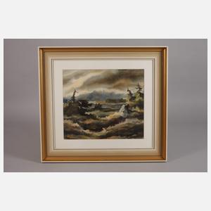 Hans Weiß-Aue, "Das Schwarze Hochmoor"