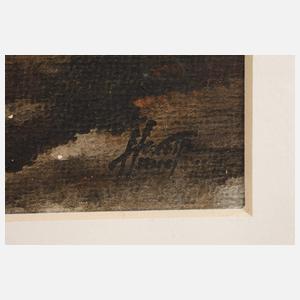 Hans Weiß-Aue, "Das Schwarze Hochmoor"