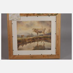 Hans Weiß-Aue, "Das Schwarze Hochmoor"