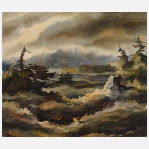 Hans Weiß-Aue, "Das Schwarze Hochmoor"