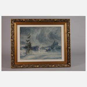 Hans Weiß-Aue, "Wintersturm im Kammgebiet"