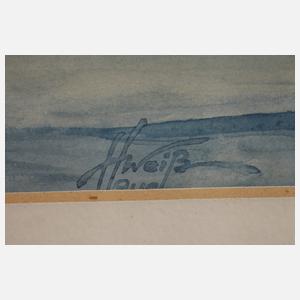 Hans Weiß-Aue, "Wintersturm im Kammgebiet"