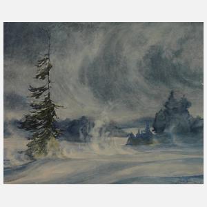 Hans Weiß-Aue, "Wintersturm im Kammgebiet"