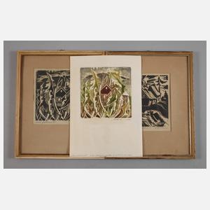 Hans Weiß-Aue, Konvolut Holzschnitte