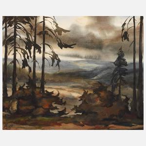 Hans Weiß-Aue, "Im Fichtelbergrevier"