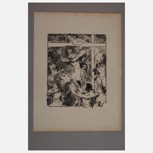 Prof. Heinz Werner, Paar Lithographien