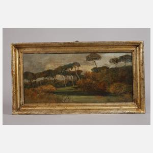 Pietro Barucci, Italienische Landschaft