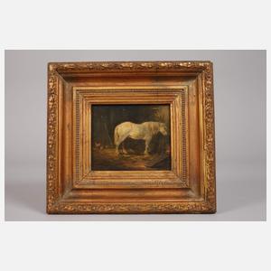 De Souza, Weißer Schimmel im Stall,