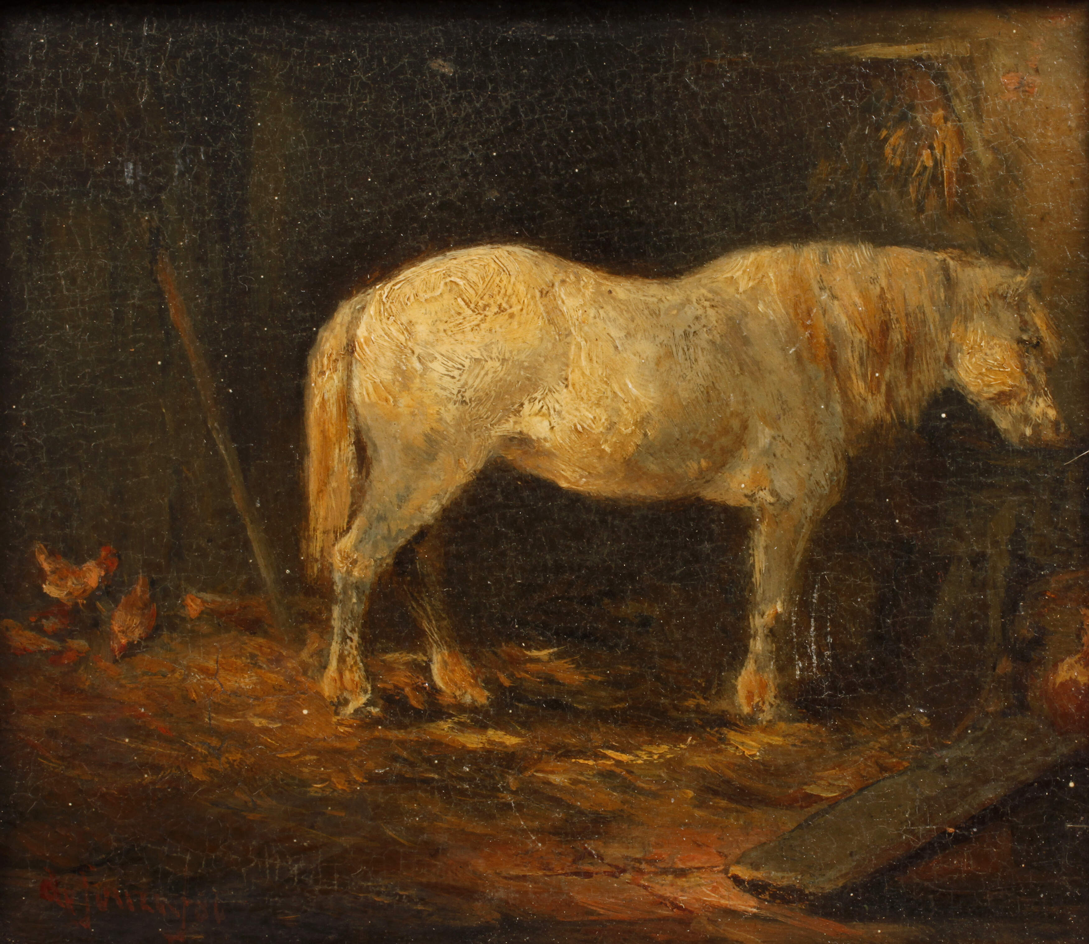 De Souza, Weißer Schimmel im Stall,