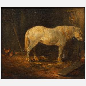 De Souza, Weißer Schimmel im Stall,