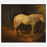 De Souza, Weißer Schimmel im Stall,111