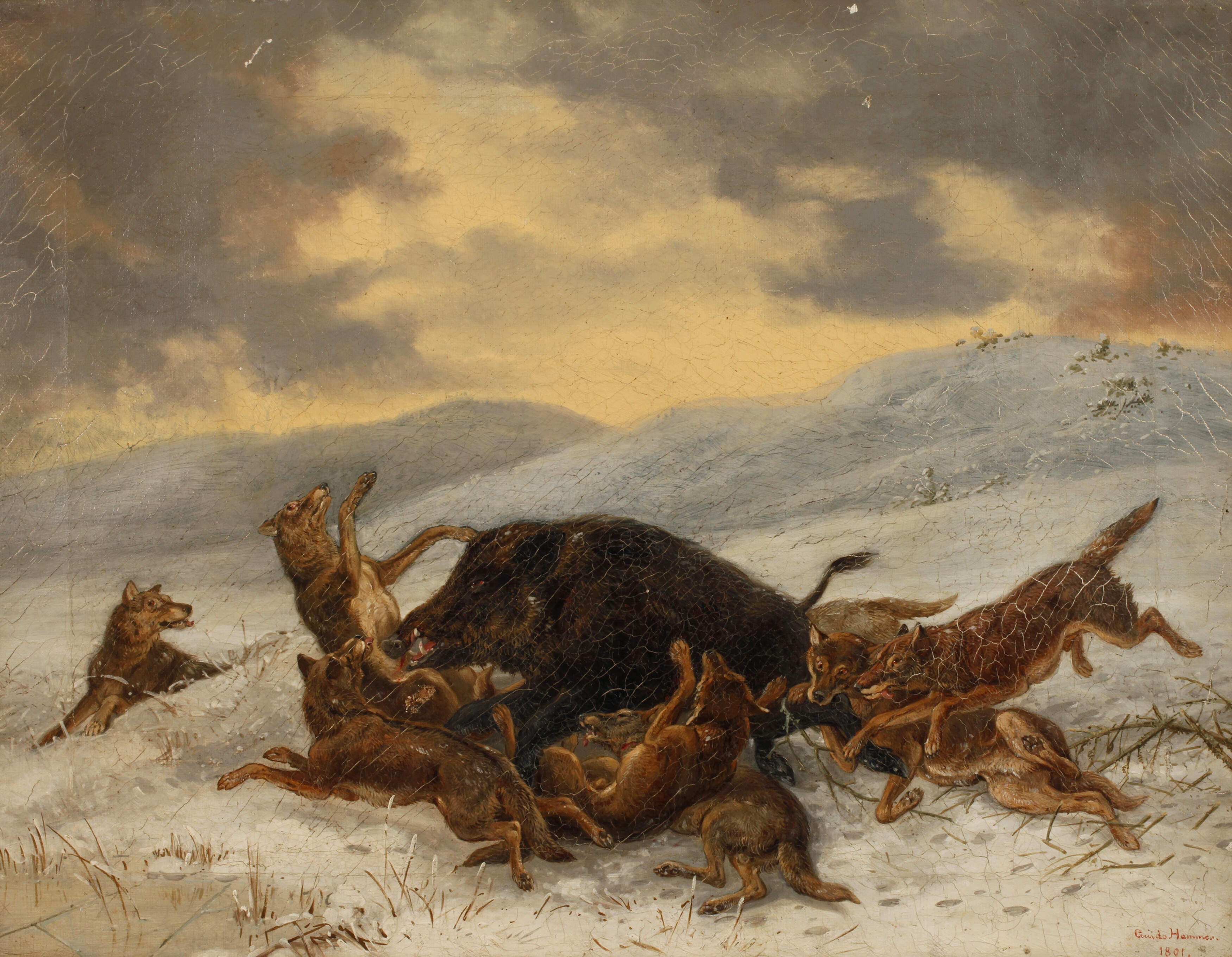 Guido Hammer, Wolfsrudel mit Wildschwein