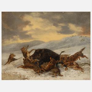 Guido Hammer, Wolfsrudel mit Wildschwein
