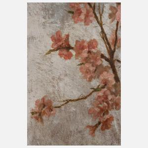 Valerico Laccetti, Mandelblüten