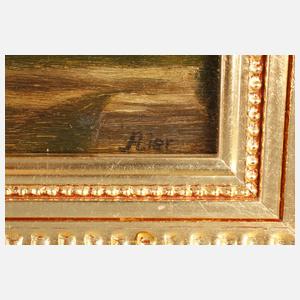 Prof. Adolf Lier, Stadtansicht