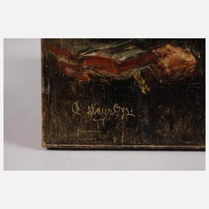 Carl Mayr Graetz, Der Advokat