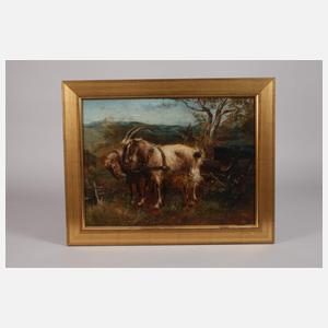 Norbert Schrödl, Ziegenkutsche der Fam. Sophie von Meister