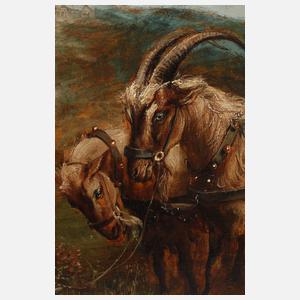 Norbert Schrödl, Ziegenkutsche der Fam. Sophie von Meister