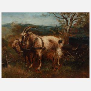 Norbert Schrödl, Ziegenkutsche der Fam. Sophie von Meister