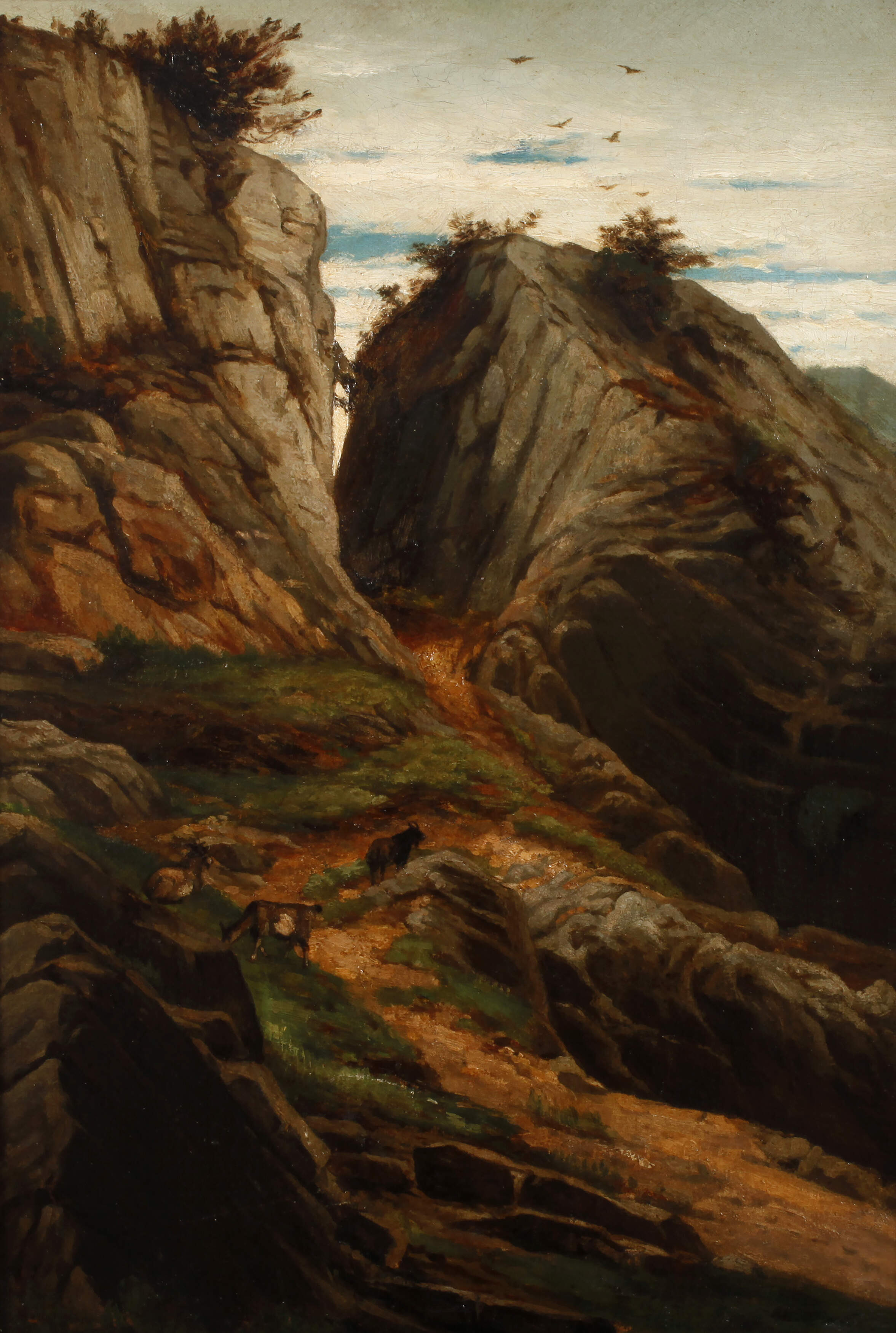 Ziegen in Berglandschaft