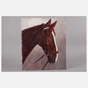 Hellmut Bachrach-Barée, Pferdeportrait