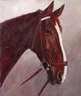 Hellmut Bachrach-Barée, Pferdeportrait