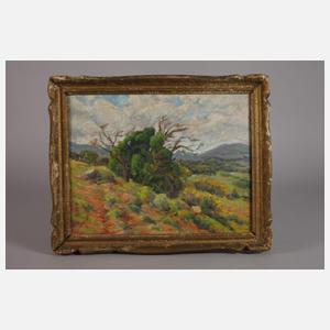 Prof. Maurice Braun, Sommerlandschaft